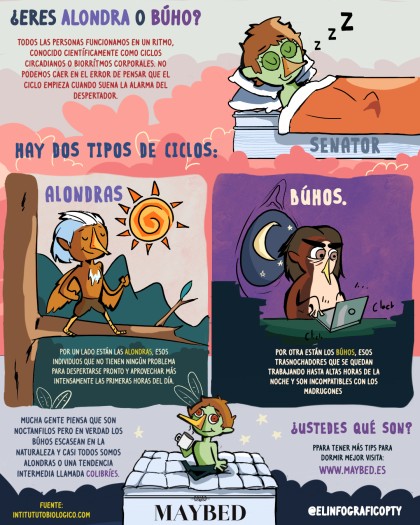 Alondra o Buho Maybed